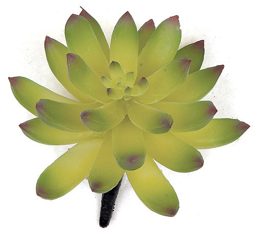4" Agave Pick
Green/Purple