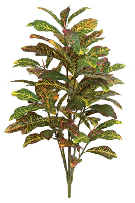 P-150750
4' Croton Plant
Soft Touch