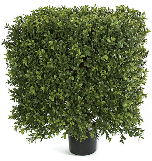 AUV-116100
16" x 21" Boxwood Square Topiary