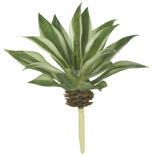A-161090
6" Agave Pick
Green/Cream