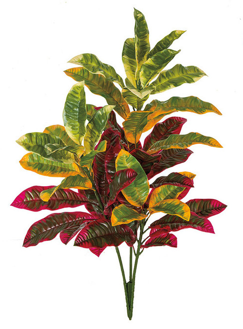 A-184025
34" Outdoor Croton Bush
Mixed Red/Green and Green/Yellow