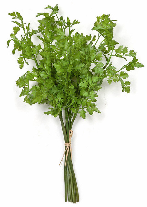 16" Cilantro Bundle