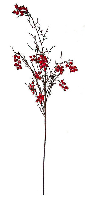 47" Red Berry Twig Stem