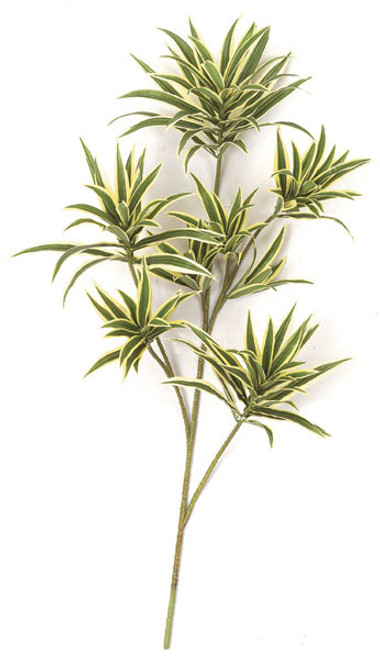 PR-2755 - FireSafe
32" Dracaena Reflexa Branch
Green/Yellow