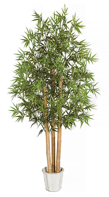 6' Bamboo Tree with Natural Bamboo Canes