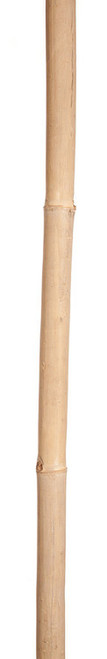 20' Natural Asian Bamboo Pole