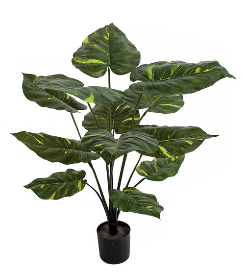 A-181660 - 32" Potted Variegated Pothos