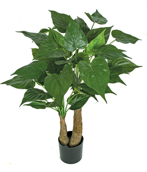 PR-200030
37.5" Alocasia Tree on Synthetic Trunk