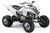 YAMAHA RAPTOR YFM 660 2001-2005