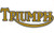 Triumph T120 TR6 650 Twin Paper Rocker Box Gasket (1) 1963-70 PN# 70-9348