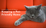 Furniture Fabrics for Pet Owners