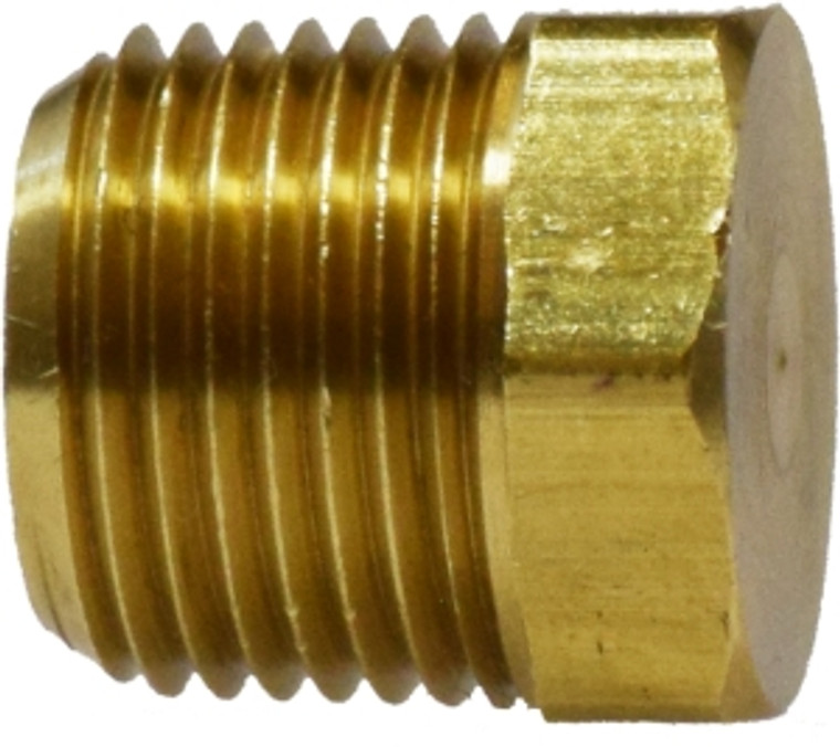 121A - PLUG, CORED HEX HEAD MPT