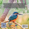 KIDS ON EARTH Wildlife Adventures - Explore The World Kingfisher - Madagascar