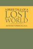A Brief Tale of a Lost World