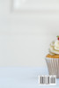 ÚTMUTATÓ A FROSTING MŰVÉSZETÉNEK ELSAPÍTÁSÁHOZ