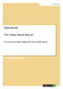 The China Brand Report