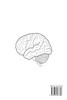 NANOSTRUCTURES AS DRUG DELIVERY VEHICLE FOR BRAIN AND AS A SCAFFOLD FOR TISSUE ENGINEERING