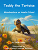 Teddy the Tortoise, Misadventure on Amelia Island