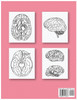 Neuroanatomy Human Brain Coloring Book