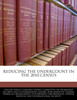 Reducing The Undercount In The 2010 Census