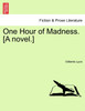 One Hour of Madness. [A novel.]