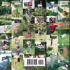 A Tribute to the Rural American Mailbox Stand