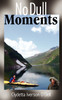 No Dull Moments