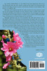 Hollyhock Wisdom