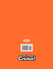 Let's Play Cricket!