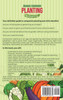Organic Companion Planting for Beginners