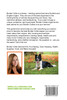 Border Collie Dogs as Pets