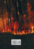 Night on Fire
