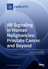 AR Signaling in Human Malignancies