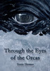 Through the Eyes of the Orcas