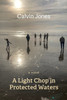 A Light Chop in Protected Waters