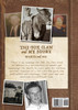 The Fox Clan and My Story