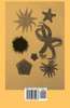 Jelly Fish, Star Fish and Sea Urchins