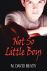 Not So Little Boys