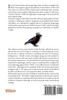 Cross-Eyed Crow