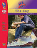 The Cay, by Theodore Taylor Lit Link Grades 7-8