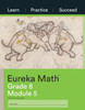 Eureka Math Grade 8 Learn, Practice, Succeed Workbook #5 (Module 5)