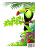 C is for Costa Rica!