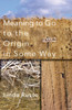 Meaning to Go to the Origin in Some Way