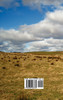 A Scots Quair, (Sunset Song, Cloud Howe, Grey Granite), Glossary of Scots Included
