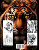For the Love of All Tigers Realistic Coloring Book