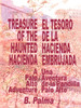 Treasure of the Haunted Hacienda