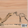 Who Lives In The Barren Desert? Nature for Kids | Children's Nature Books