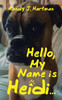 Hello, My Name is Heidi...