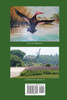 THE JOURNAL OF CRYPTOZOOLOGY