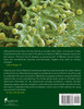 A Microscopic View of Medical Cannabis